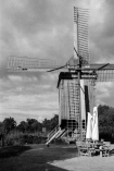 Bockwindmühle 1